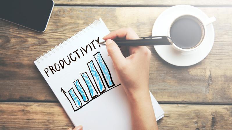 The Problem of Measuring Software Productivity