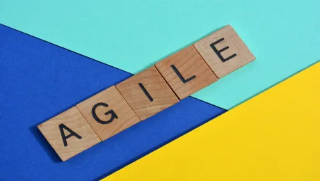 Agile Software Development Estimation