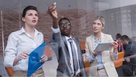 Software Estimation Collaboration