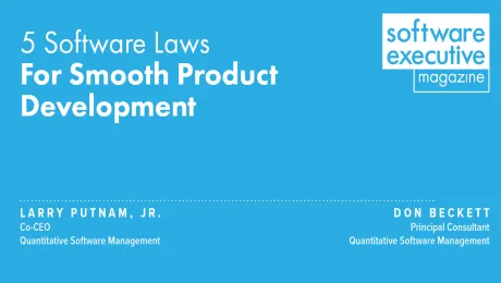 Software Project Laws