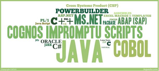 Top 25 Programming Languages since 2008