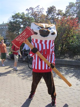 Bucky Badger