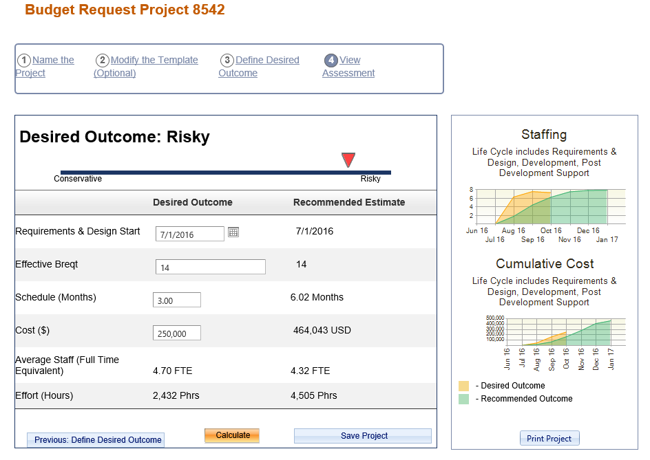 IT Budget Project Risk Assessment