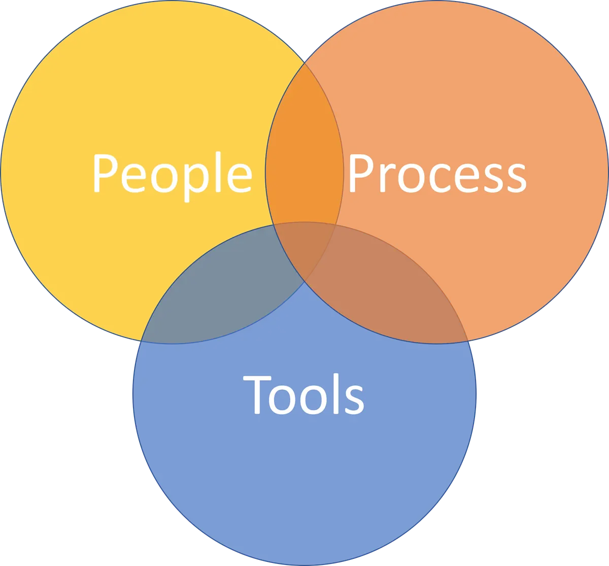 The Complete Guide To Software Process Improvement QSM