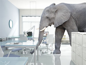 Software Productivity Index Elephant in the Room