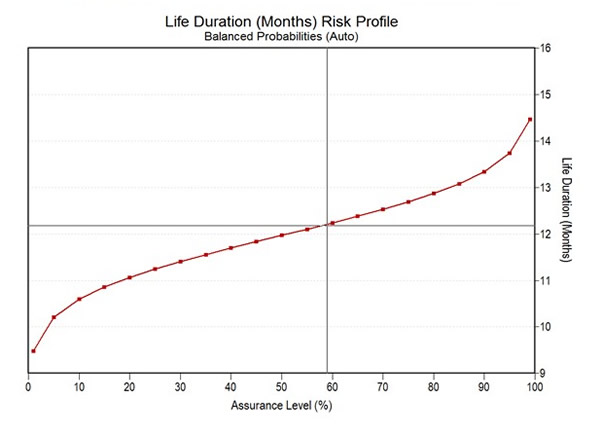 Software Vendor: Risk and Balanced Probabilities