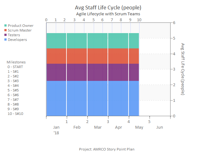 Project Staffing by Role